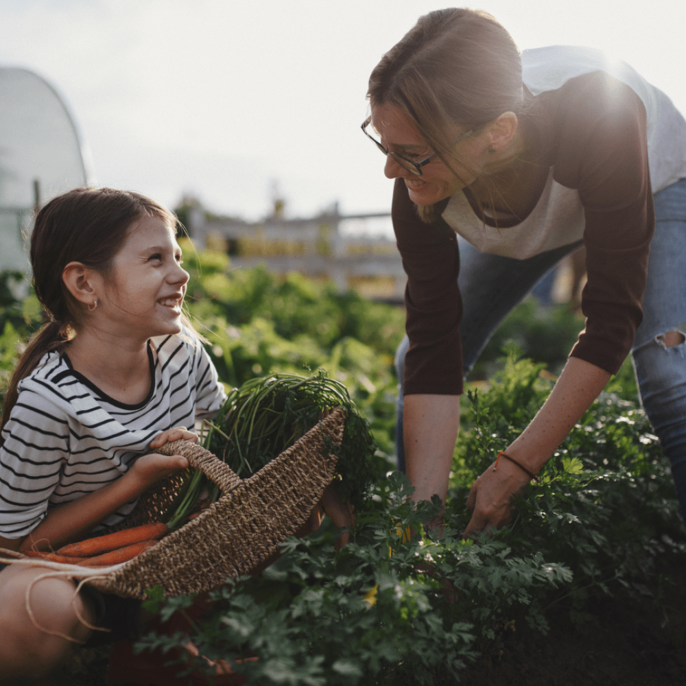 Community Farm